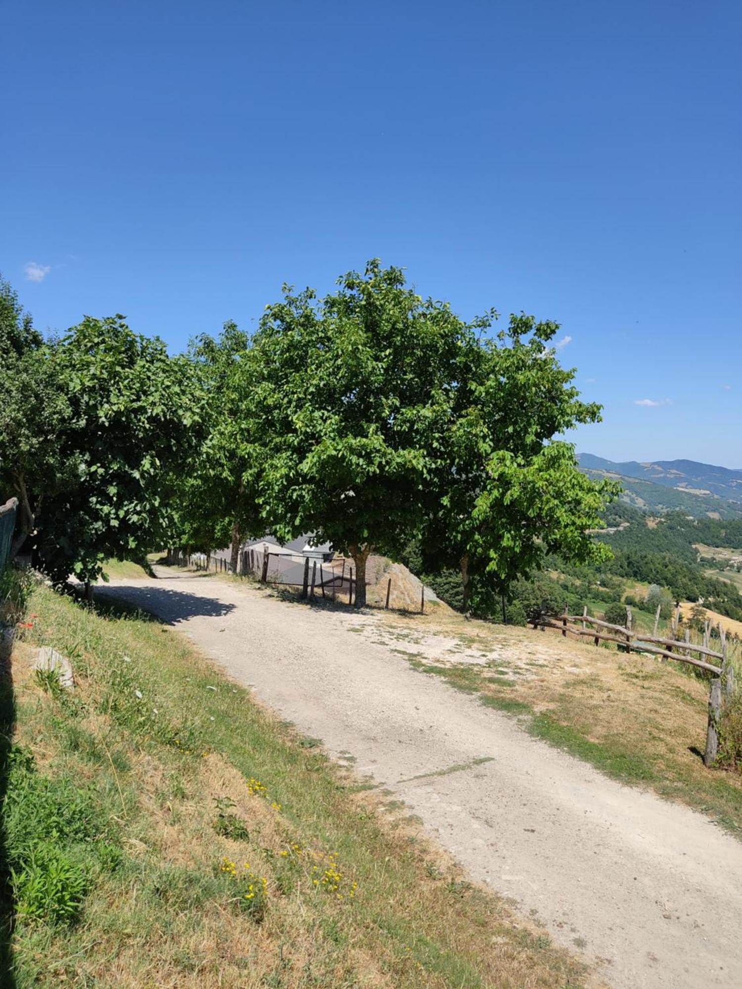 Agriturismo Al Monte Сан-Пьеро-ин-Баньо Экстерьер фото