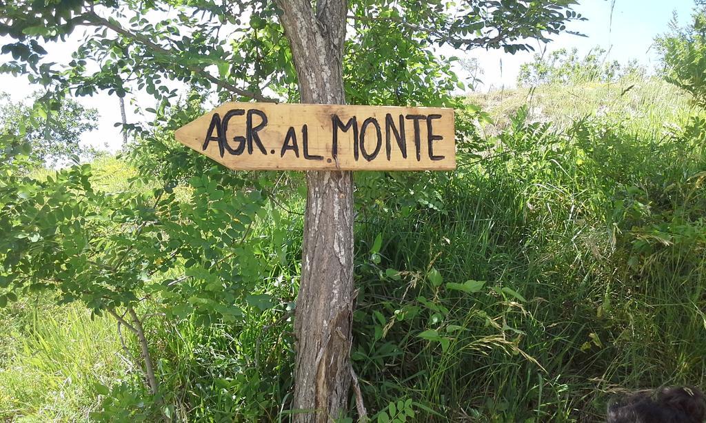 Agriturismo Al Monte Сан-Пьеро-ин-Баньо Экстерьер фото